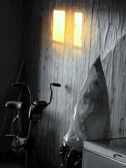 window to the light 