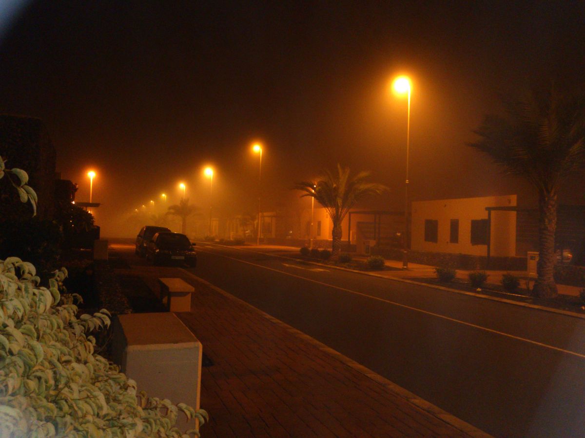 tamaragua bajo la niebla