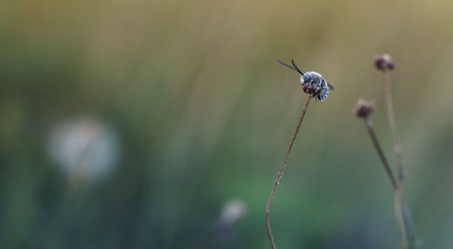 SWPA Jan Main option 2.jpg SWPA Jan Main option 2.jpg