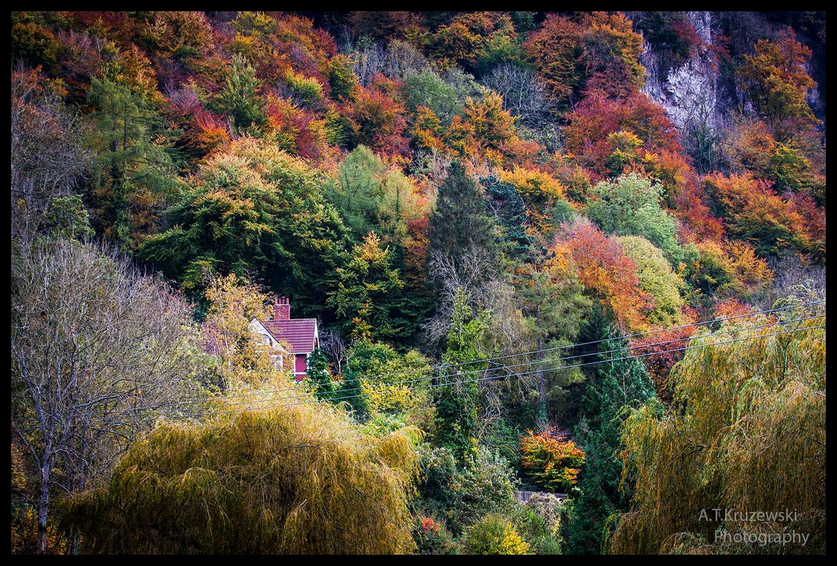 Autumn Colours