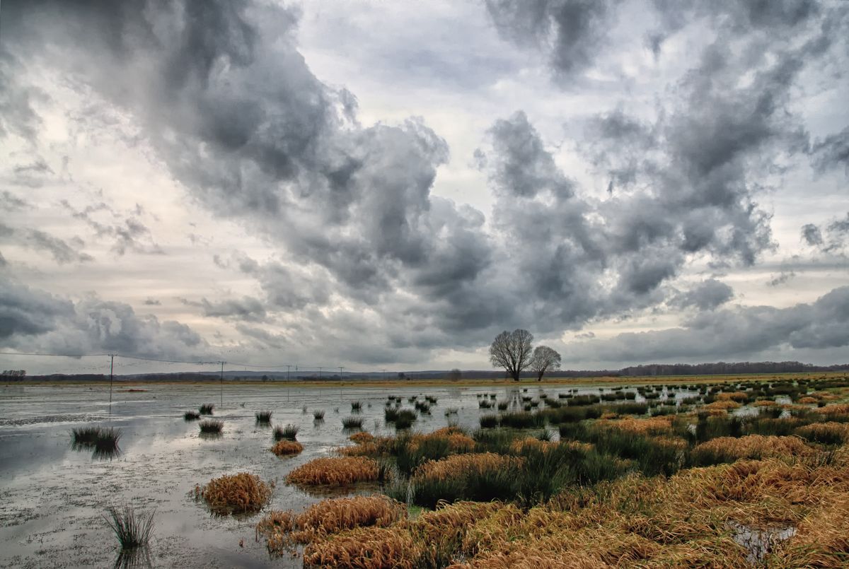 Wiesenüberschwemmung zwischen Diepholz und dem Dümmersee.