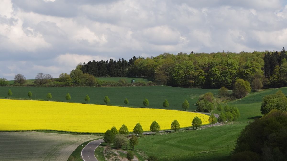 foto gemaakt in Duitsland, , Rijnland-Palts