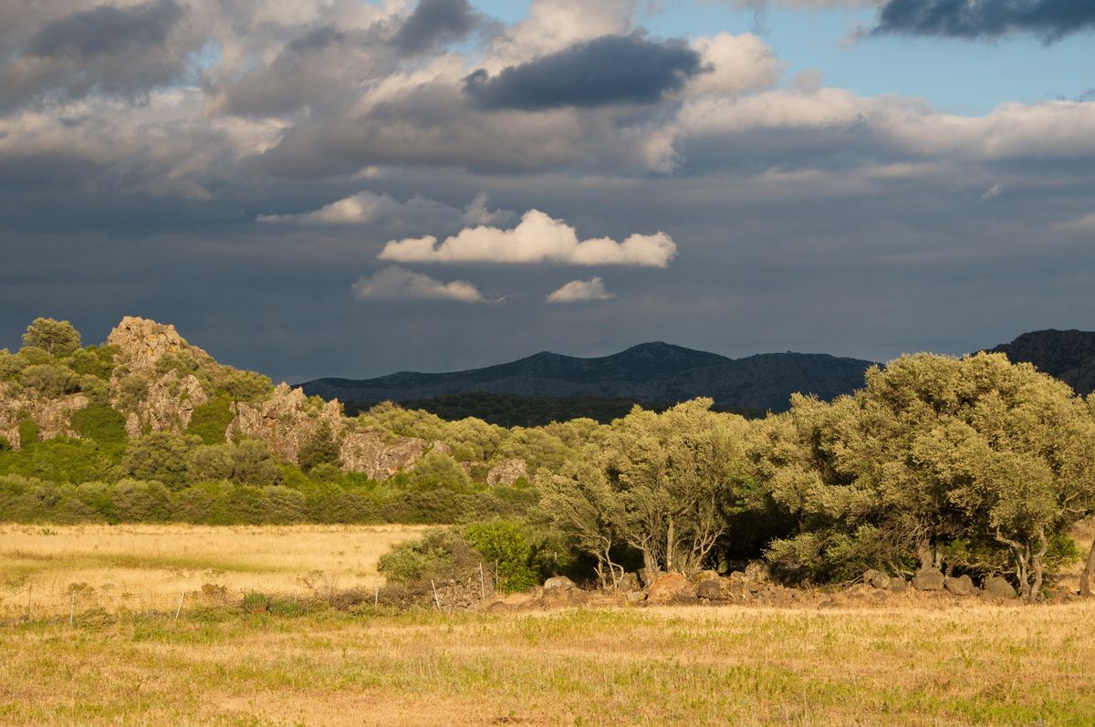 Dorgali, Sardegna (Italia)