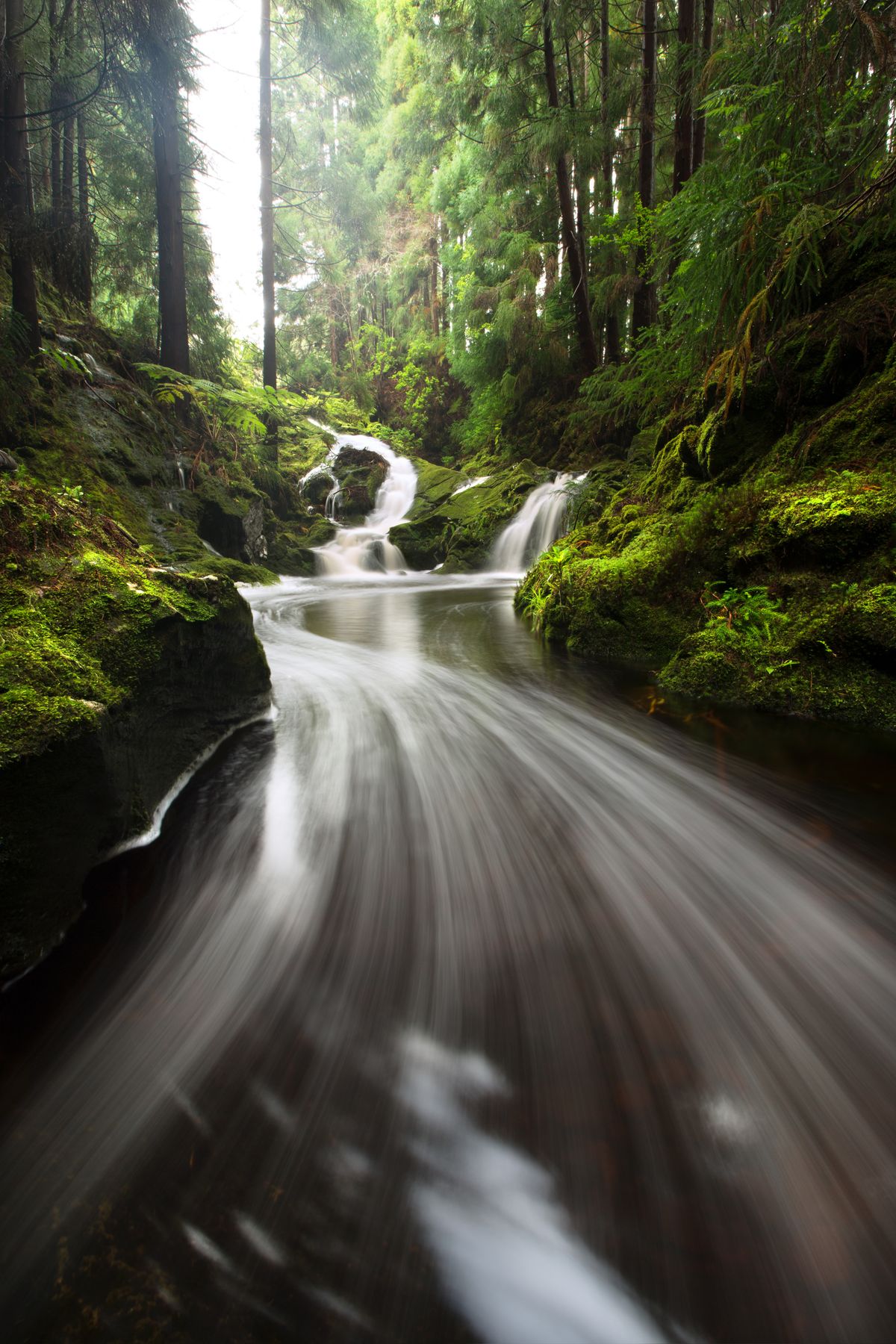 "The Lost World" :This was one of the many magnificent waterfalls that I photographed in the dense forest of Terceira island in the Azores.  To get a different framing than usual I had to put my feet in ice water which for me was a great sacrifice.  to achieve the drag of foam I had to leave the sensor exposed to light for 4 seconds.  I hope you enjoy 