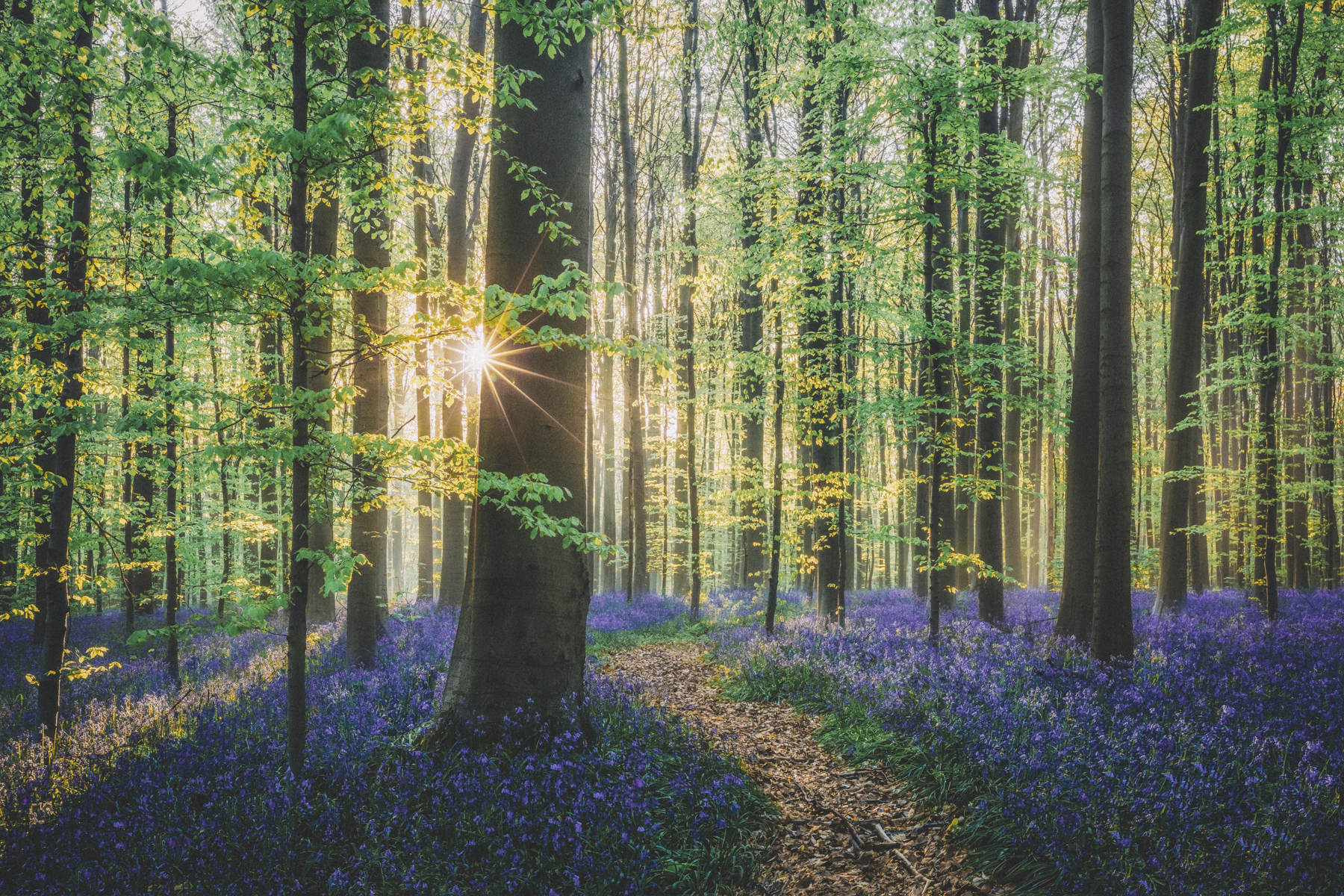 2016_009_k.jpg 2016_009_k.jpg