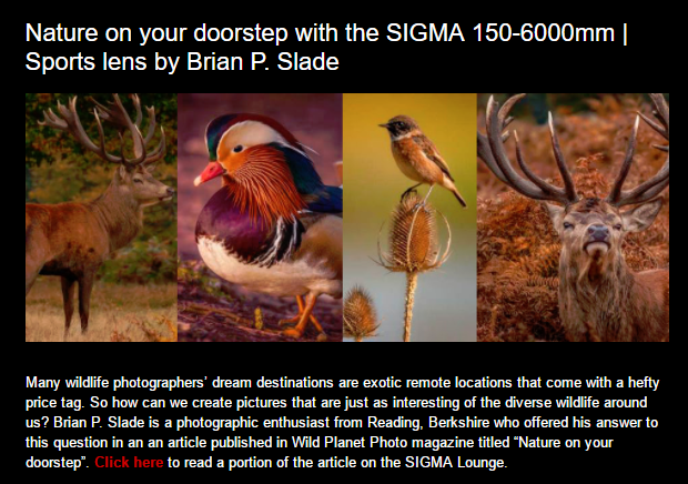 Sigma150bis6000.PNG