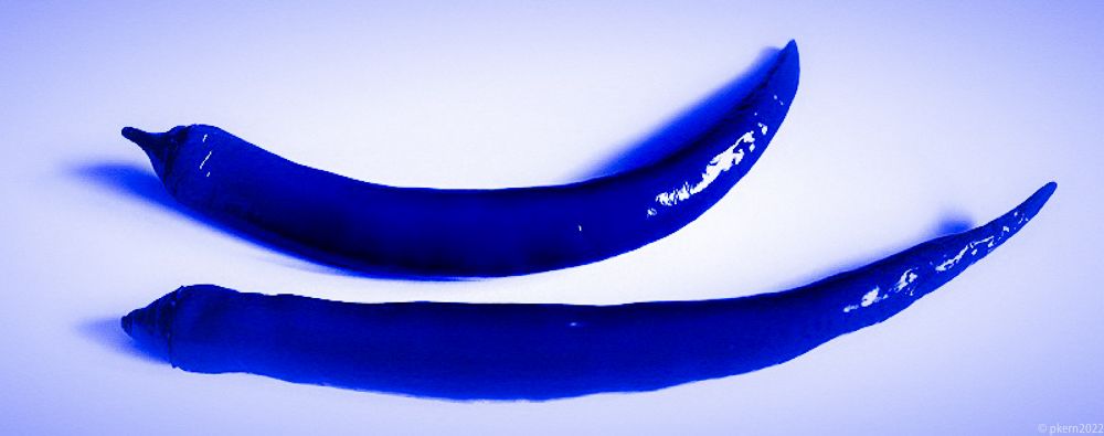 blau (1 von 1)-2.jpg