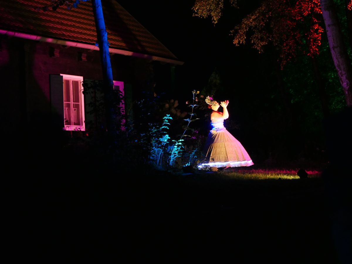 Abends im Spreewald